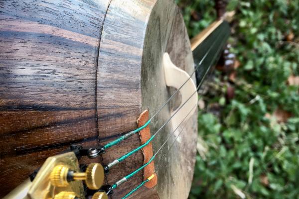 کمانچه حسام حاتمی 